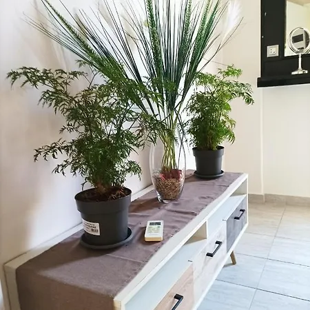 Jz Boutique Apartamento